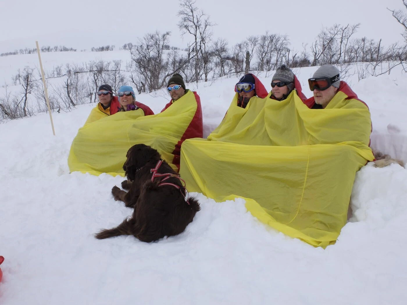 Hilleberg Windsack 3 5 Hilleberg Windsack 3 – Image 3