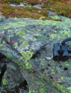 Jerven Fjellduken Hunter 21 Jerven Fjellduken Hunter -TrekAbri Boutique jervenbag hunter montain