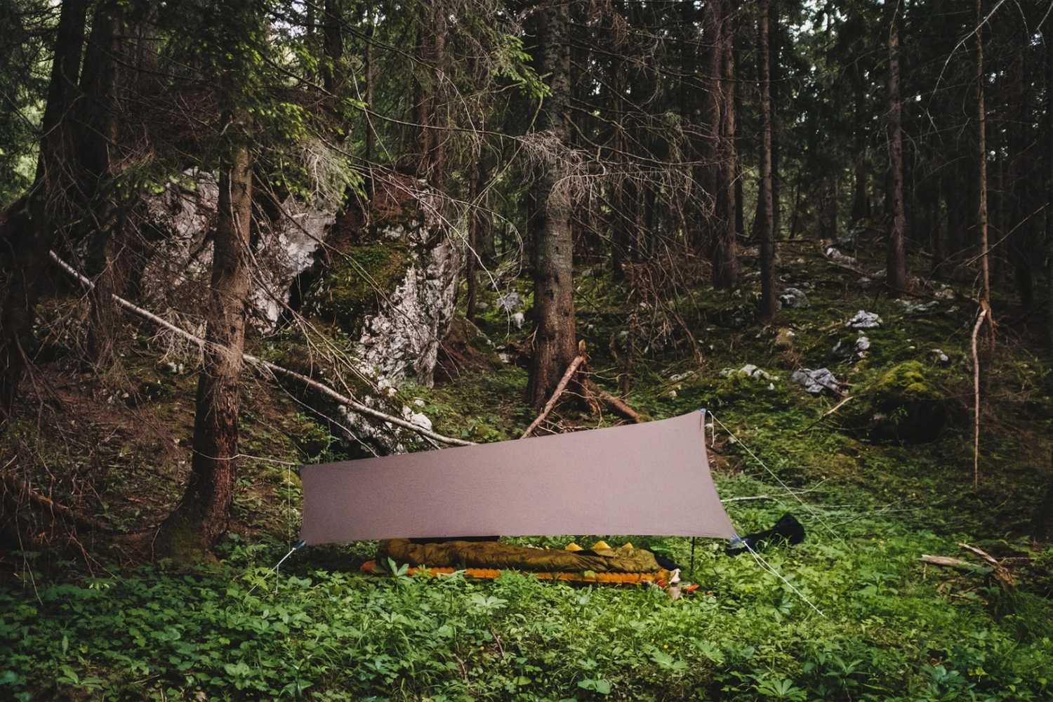 Lesovik Zmora 5 Lesovik Zmora â Image 3