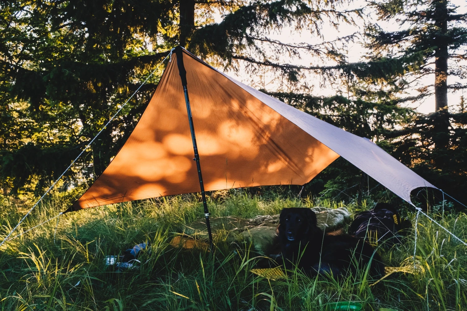 Lesovik Zmora 19 Lesovik Zmora â Image 17