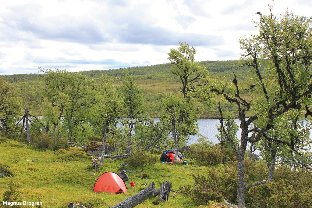 Hilleberg Enan 7 Hilleberg Enan – Image 5