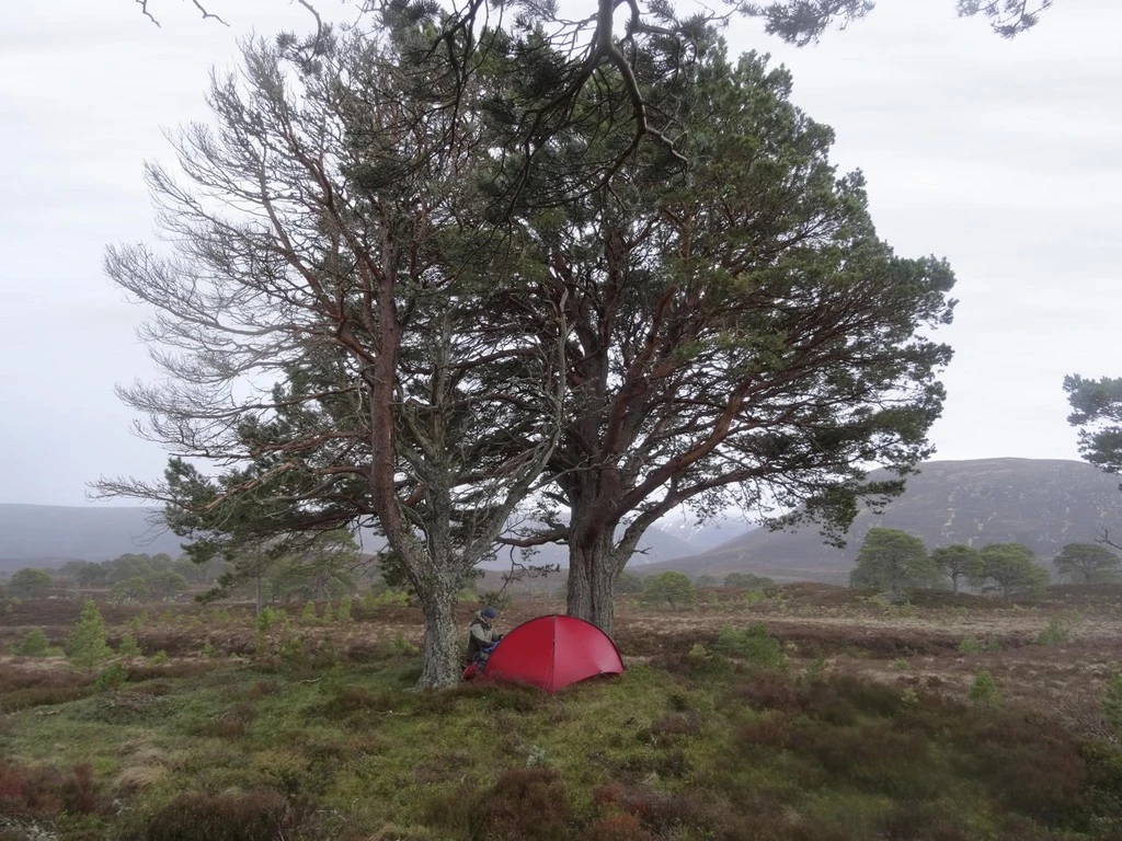 Hilleberg Niak 9 Hilleberg Niak – Image 7